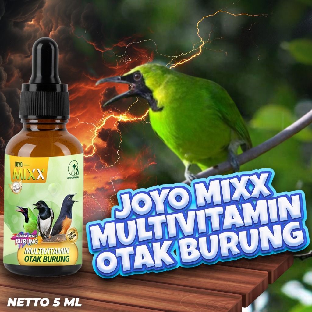 VITAMIN OTAK | MULTIVITAMIN OTAK | VITAMIN  BURUNG CERDAS & PINTAR | DAYA INGAT BURUNG | MIXX MULTIV
