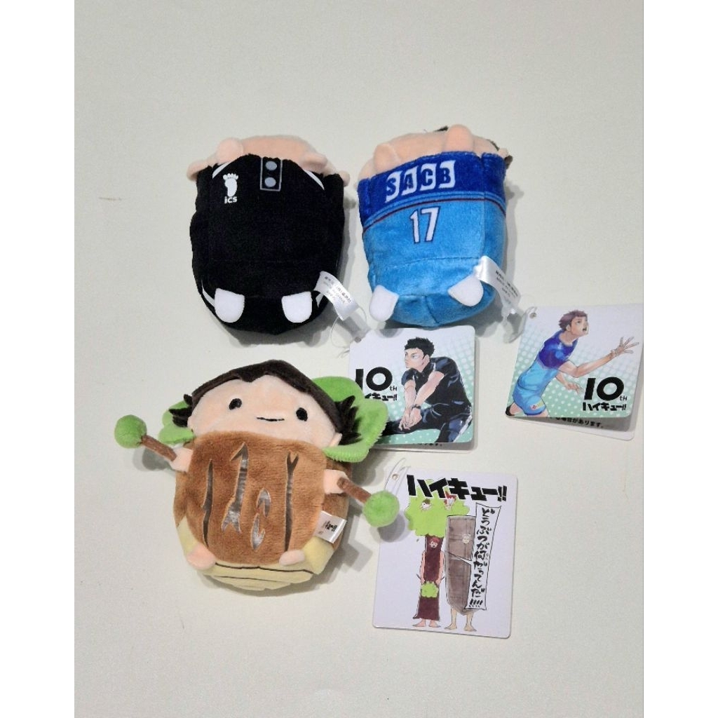 Haikyu Noru treekawa & Noru 10th Anniversary (BOOKED)