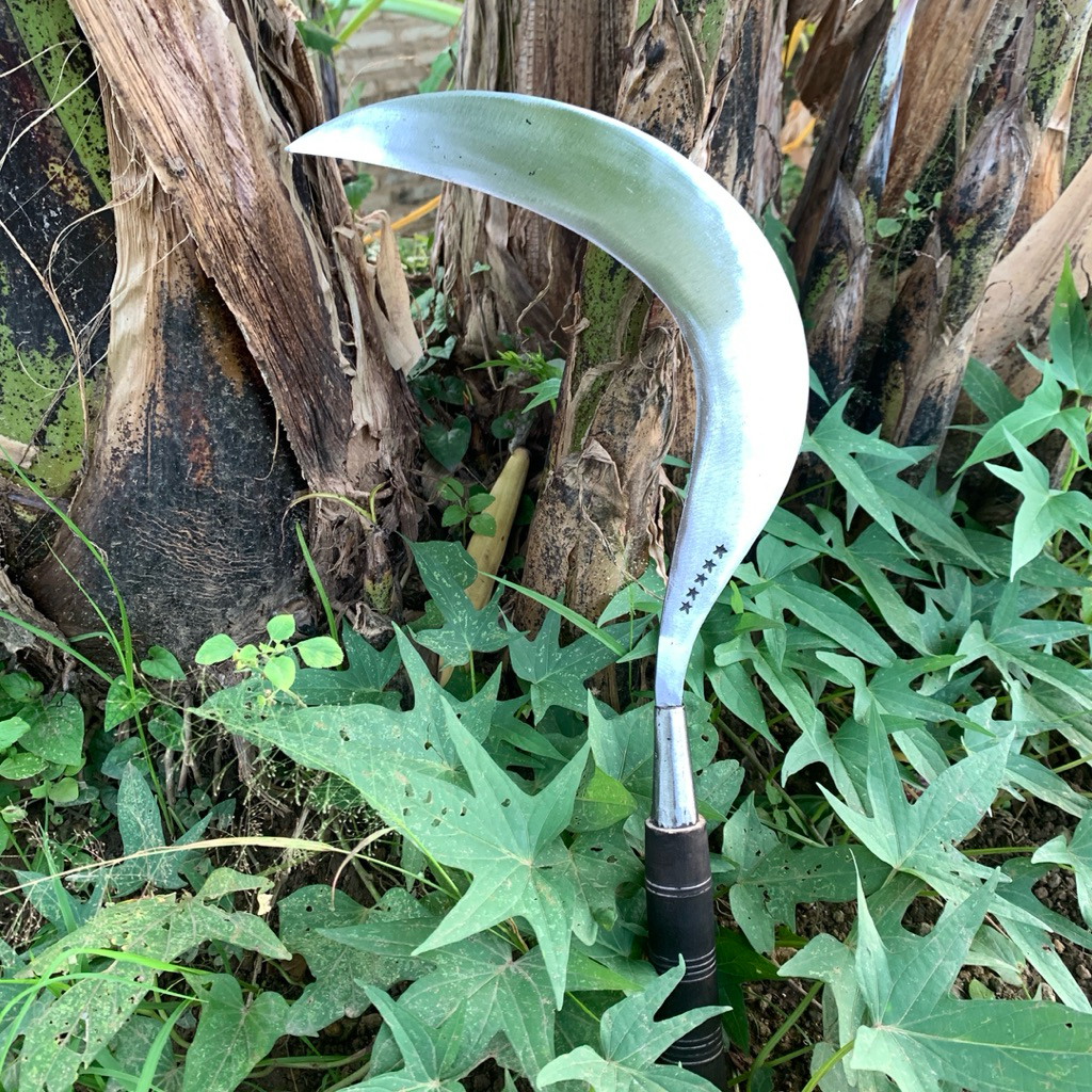 aret berkebun rumput asli baja per siap pakai khas Madura asli