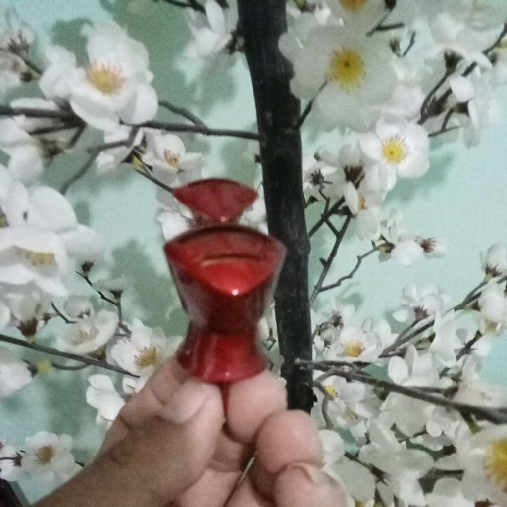 sawangan merpati ngangsit gendong  jamin semetar
