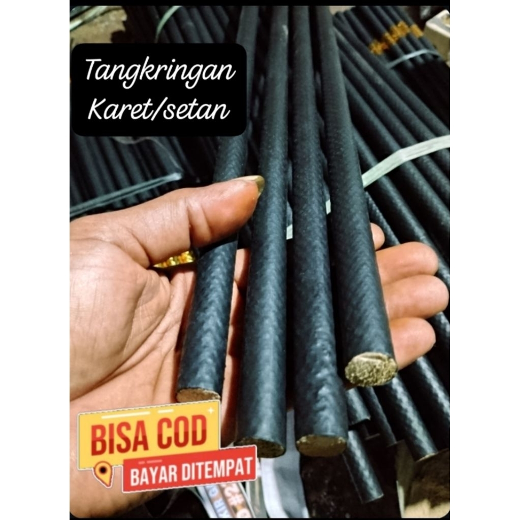 tangkringan karet/setan murai, kacer, kenari