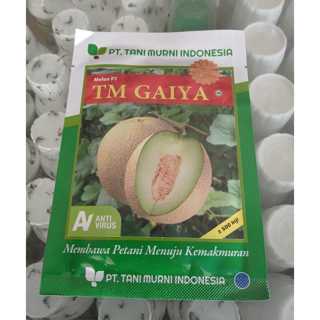 Benih Melon TM Gaiya F1 500 Biji Benih Melon Super