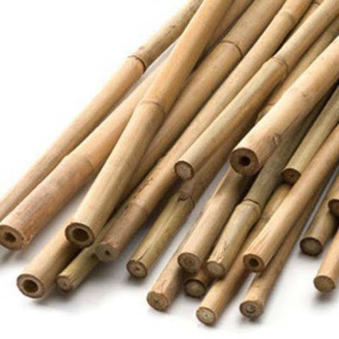 Bambu Mini Panjang 100 cm/Bambu kecil/bambu turus penyangga tanaman Bambu Bahan Kerajinan