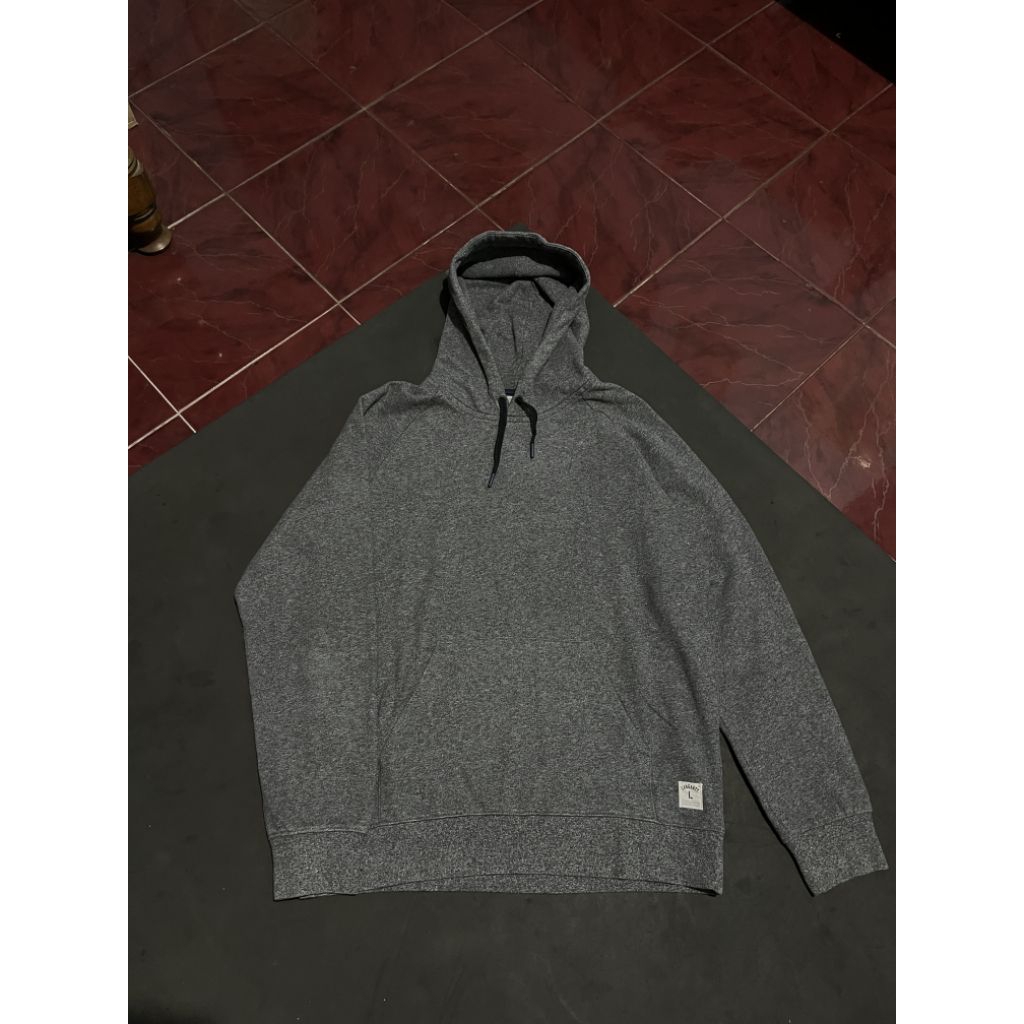 Hoodie Carhartt Holbrook WIP