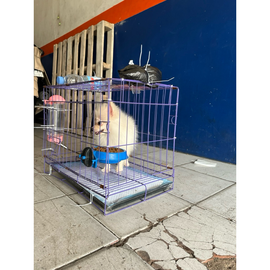 Kandang anjing kecil