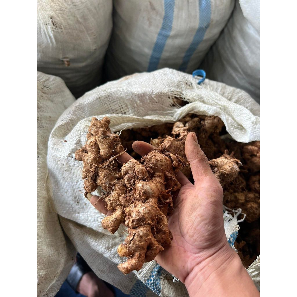 Jahe emprit 1kg, Jahe 1kg