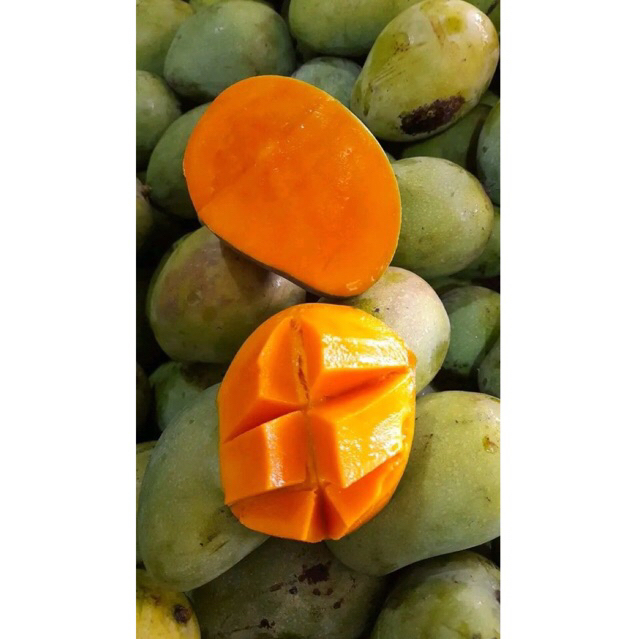 Mangga arumanis matang per 1kg / buah mangga harum manis