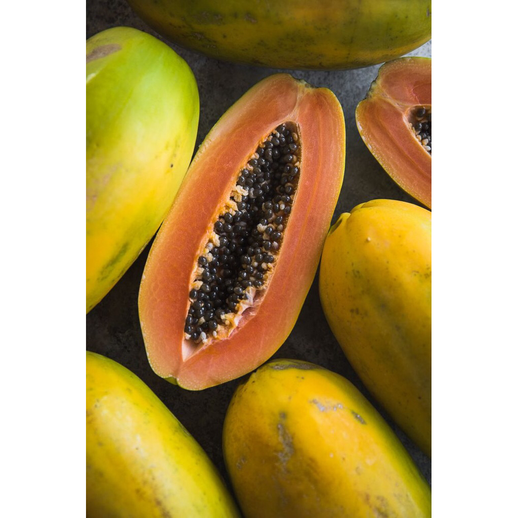 Pepaya segar / Buah pepaya per buah