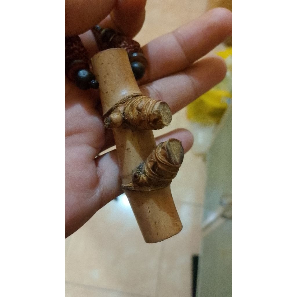 kalung bambu petuk asli
