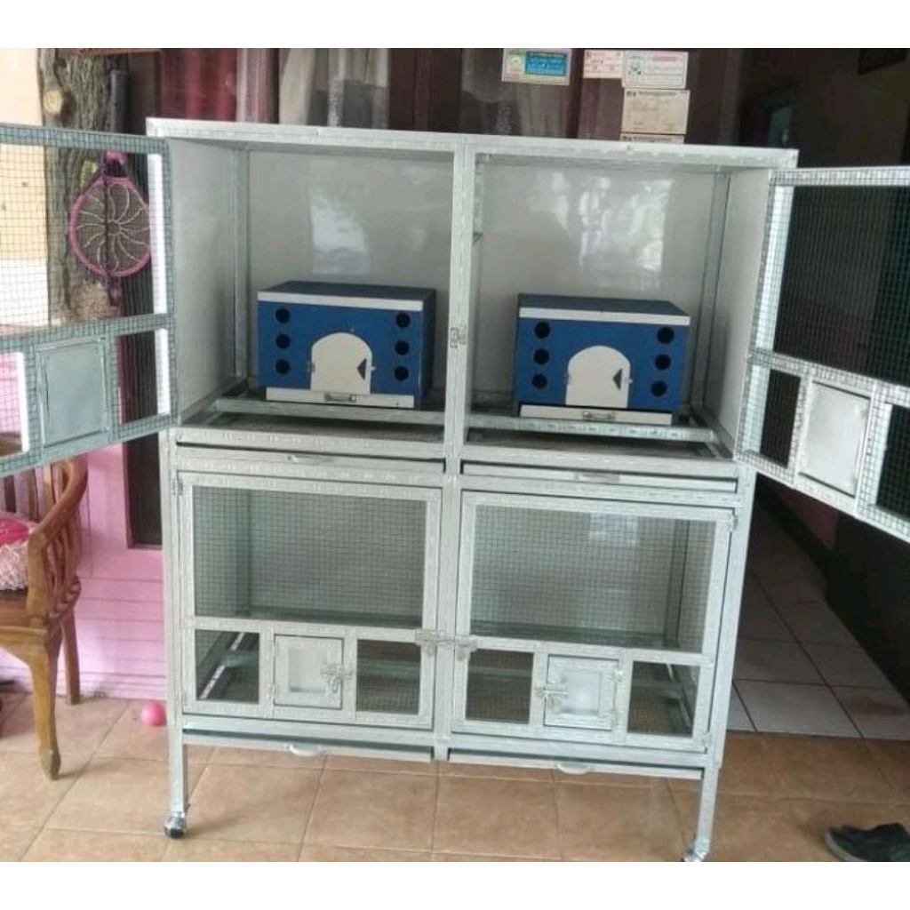 kandang macan merpati semua model