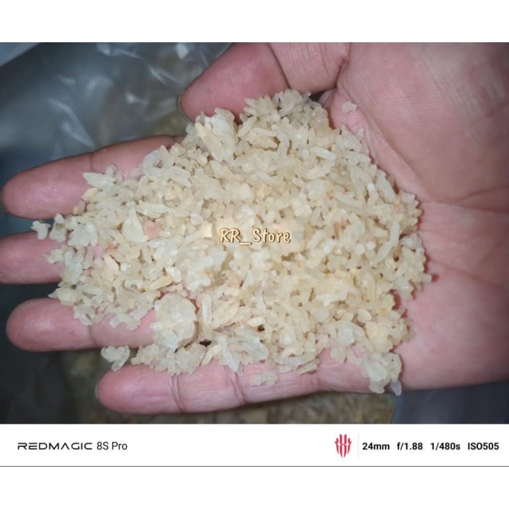 Nasi Karak / Nasi Aking Kualitas Biasa 1 KG