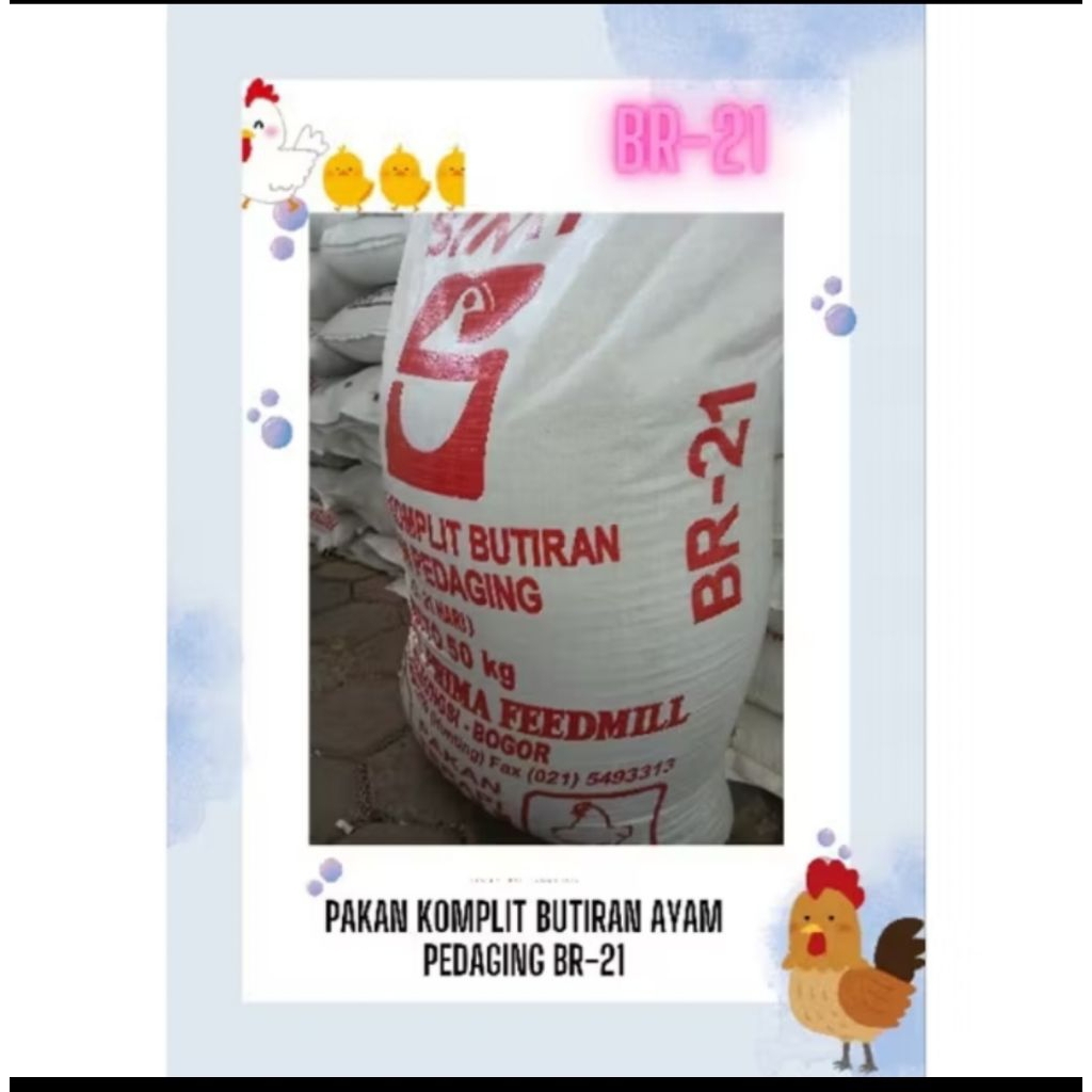 PAKAN AYAM PEDAGING SINTA MERAH BR21