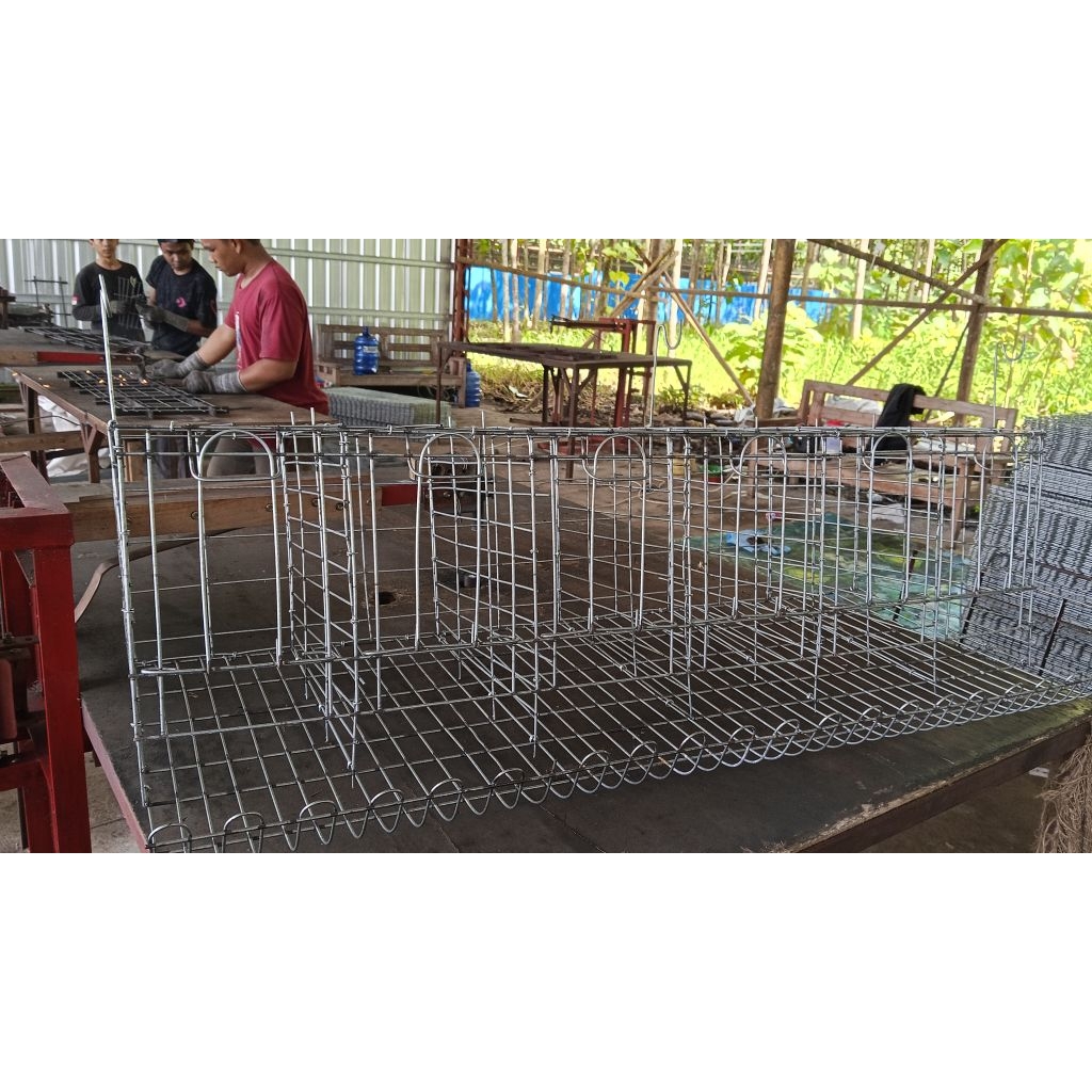 Kandang Ayam Petelur