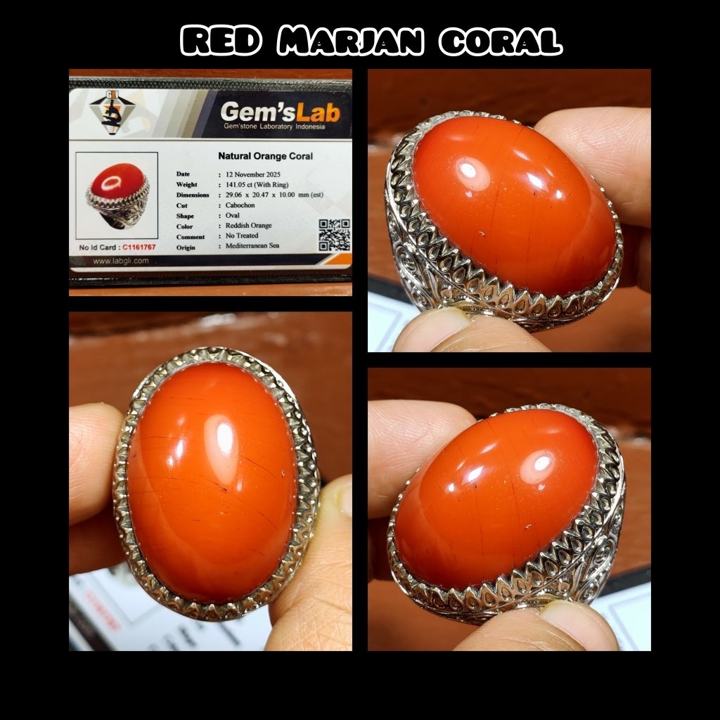 BATU RED MARJAN CORAL YEMEN