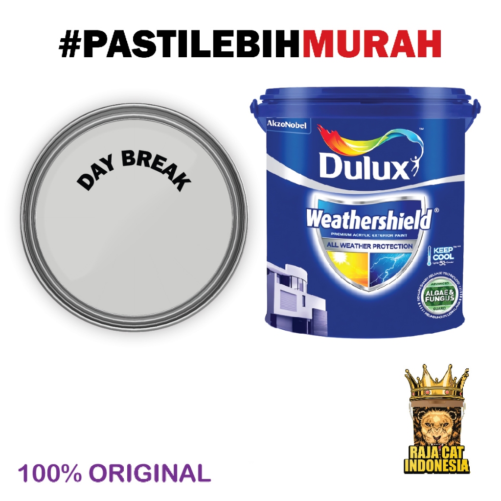 Cat Tembok Eksterior | Dulux Weathershield DS Tinting ( DAY BREAK ) 20L | Kemasan Pail