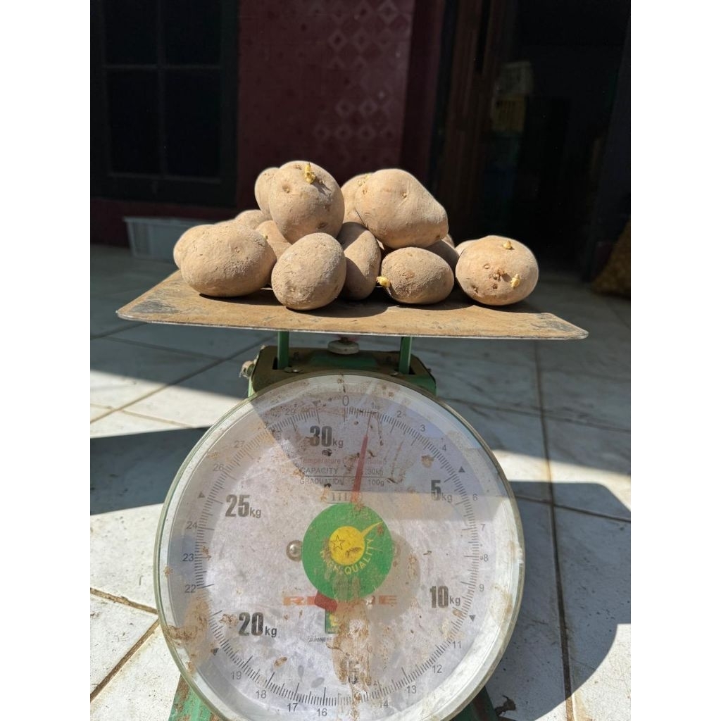 Bibit Granola G2 uk LM per KG