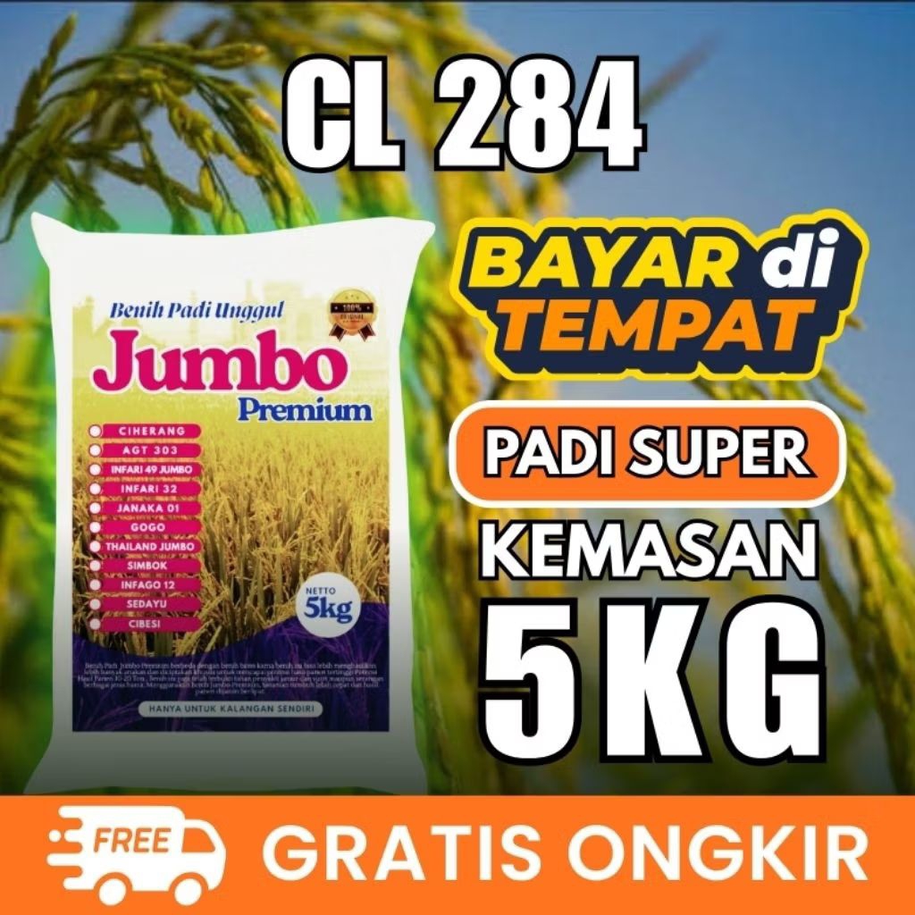 benih padi CL 284 original 5kg