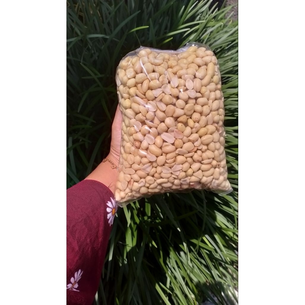 Kacang tanpa kulit mentah