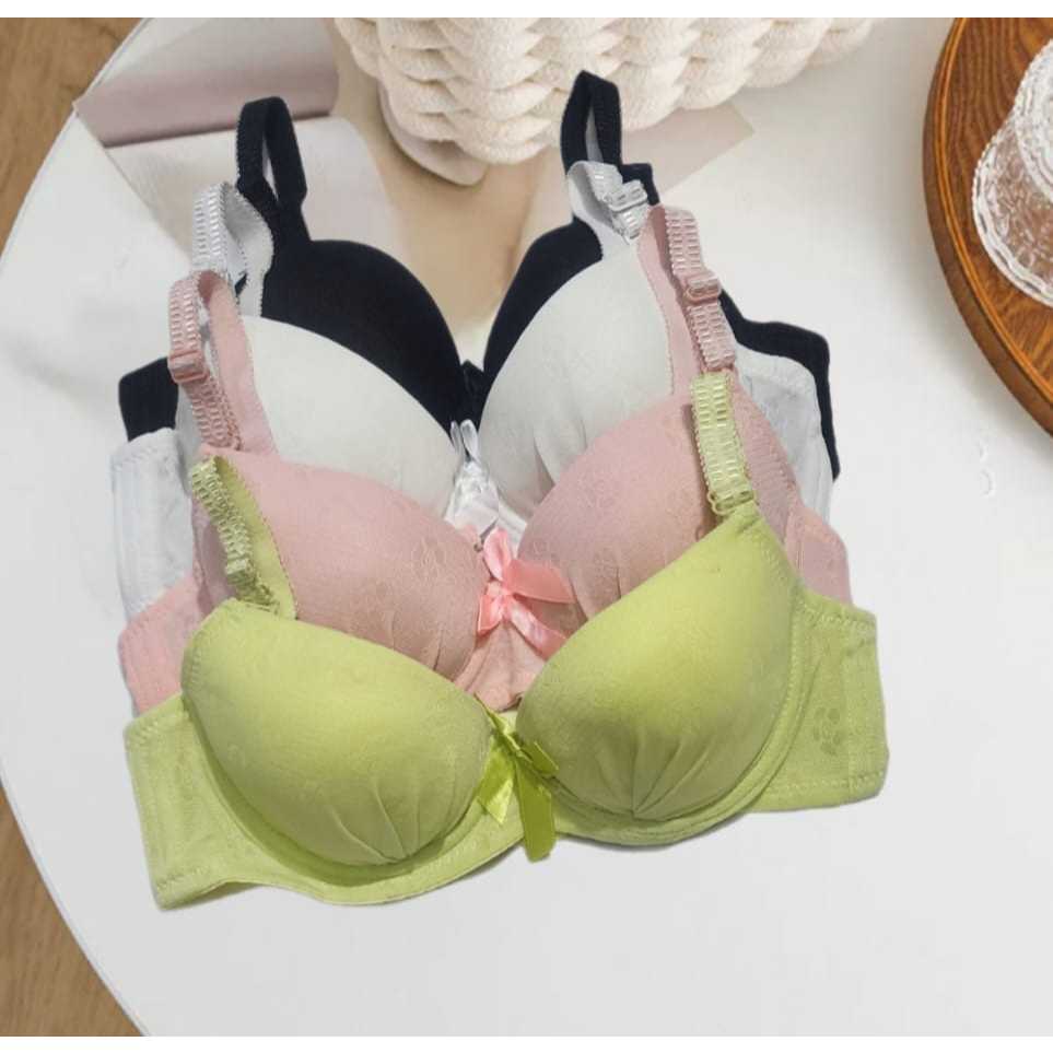 Bra Wanita Kawat Busa Tipis Push Up Bra Cup A/Cup Kecil | Bra Remaja Dewasa Kait 3 Size 32-36 bh 924