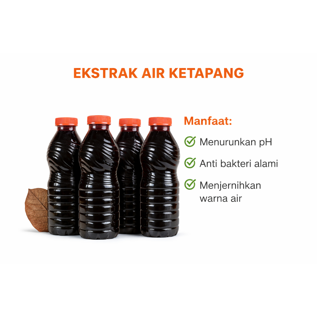 Air Daun Ketapang Asli 250ml Super Pekat Untuk Perawatan Ikan Channa Cupang