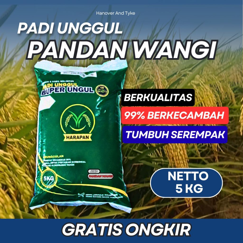 benih padi PANDAN WANGI kemasan 5KG asli