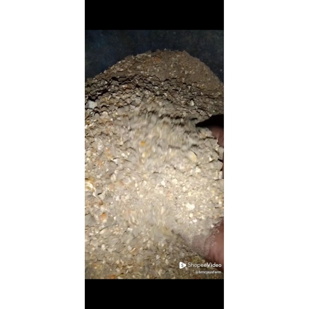 pakan jadi ayam petelur layer