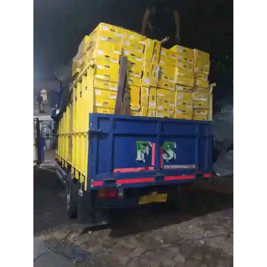 kurma golden valley 10kg