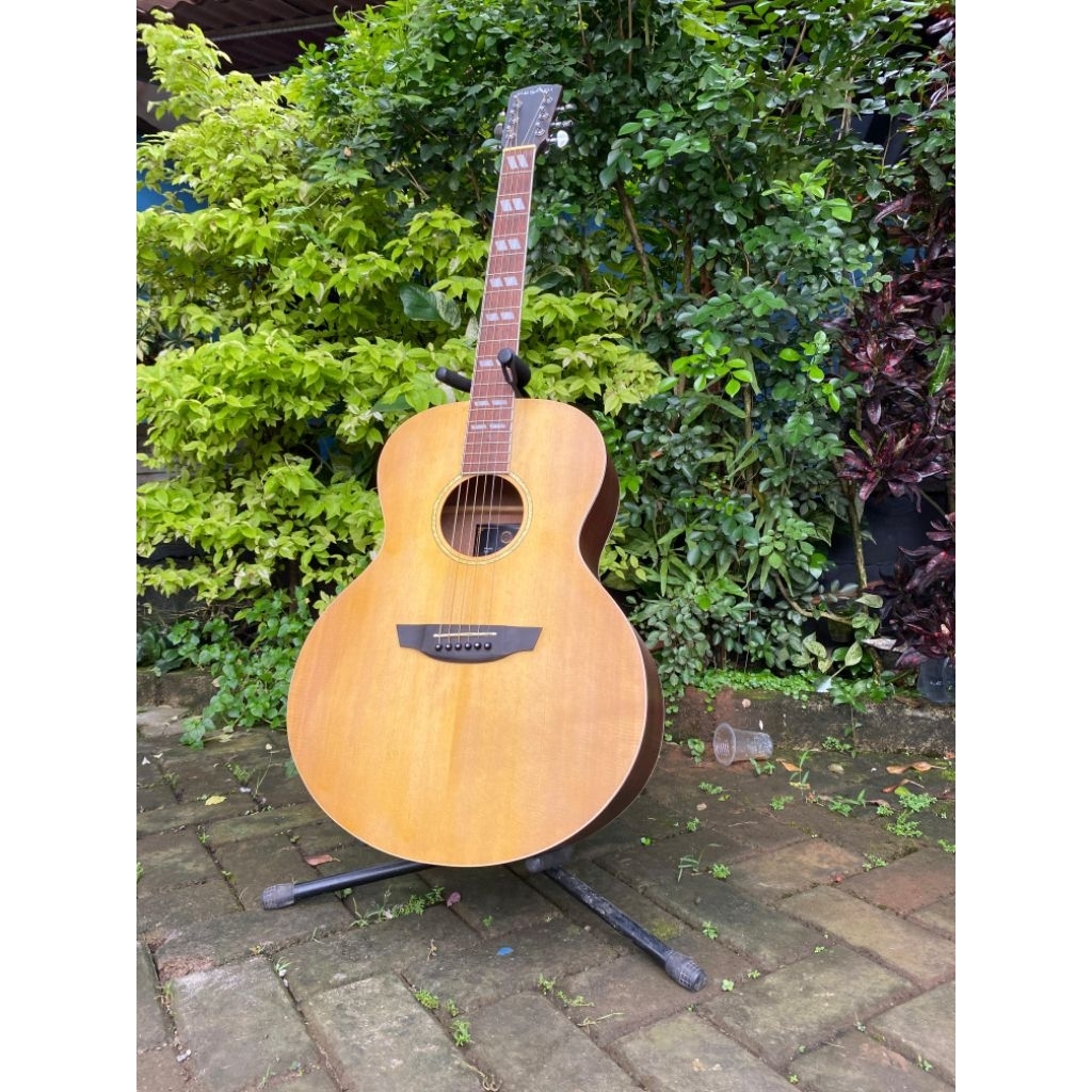 Gitar akustik pesagi original murah