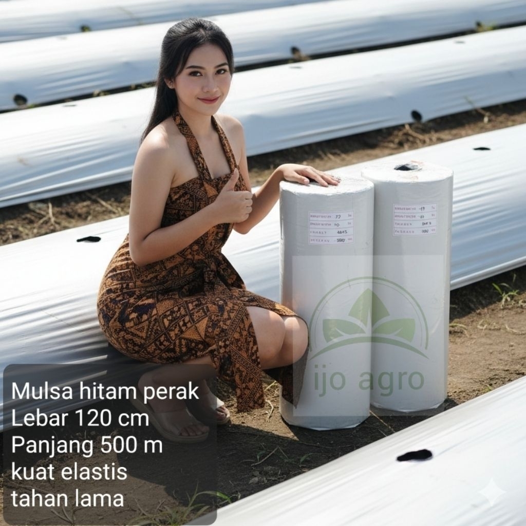 plastik mulsa hitam perak 1 roll lebar 1,2 m panjang 500 m