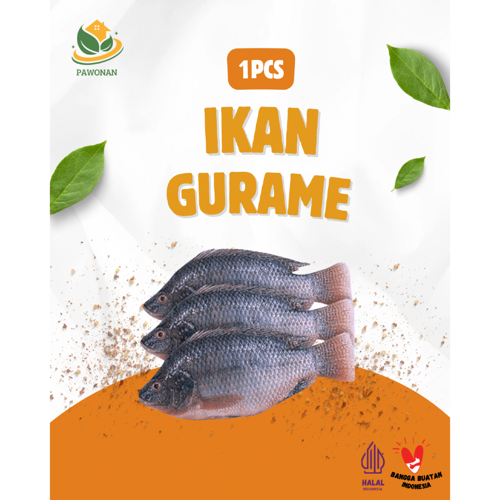 Ikan Gurame 1Ekor