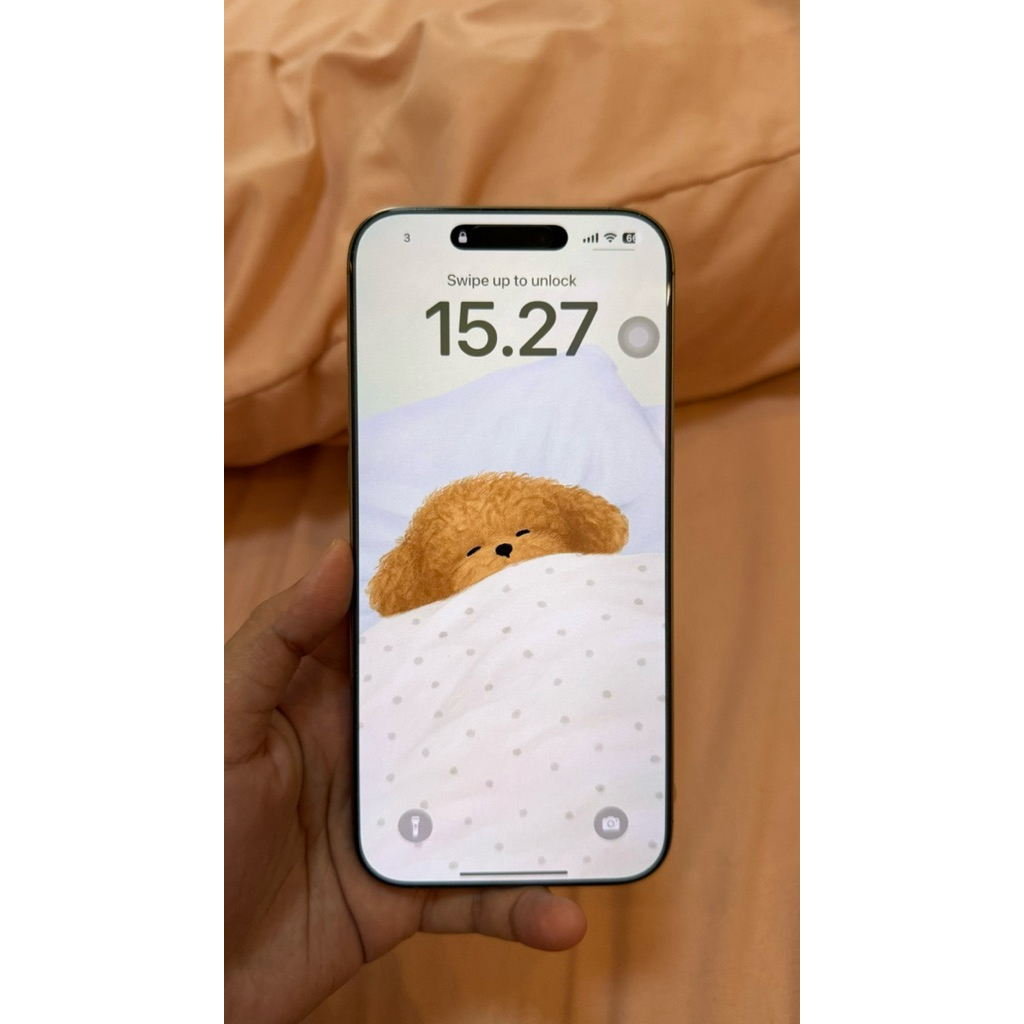 PRELOVED IPHONE 16PROMAX 256GB IBOX