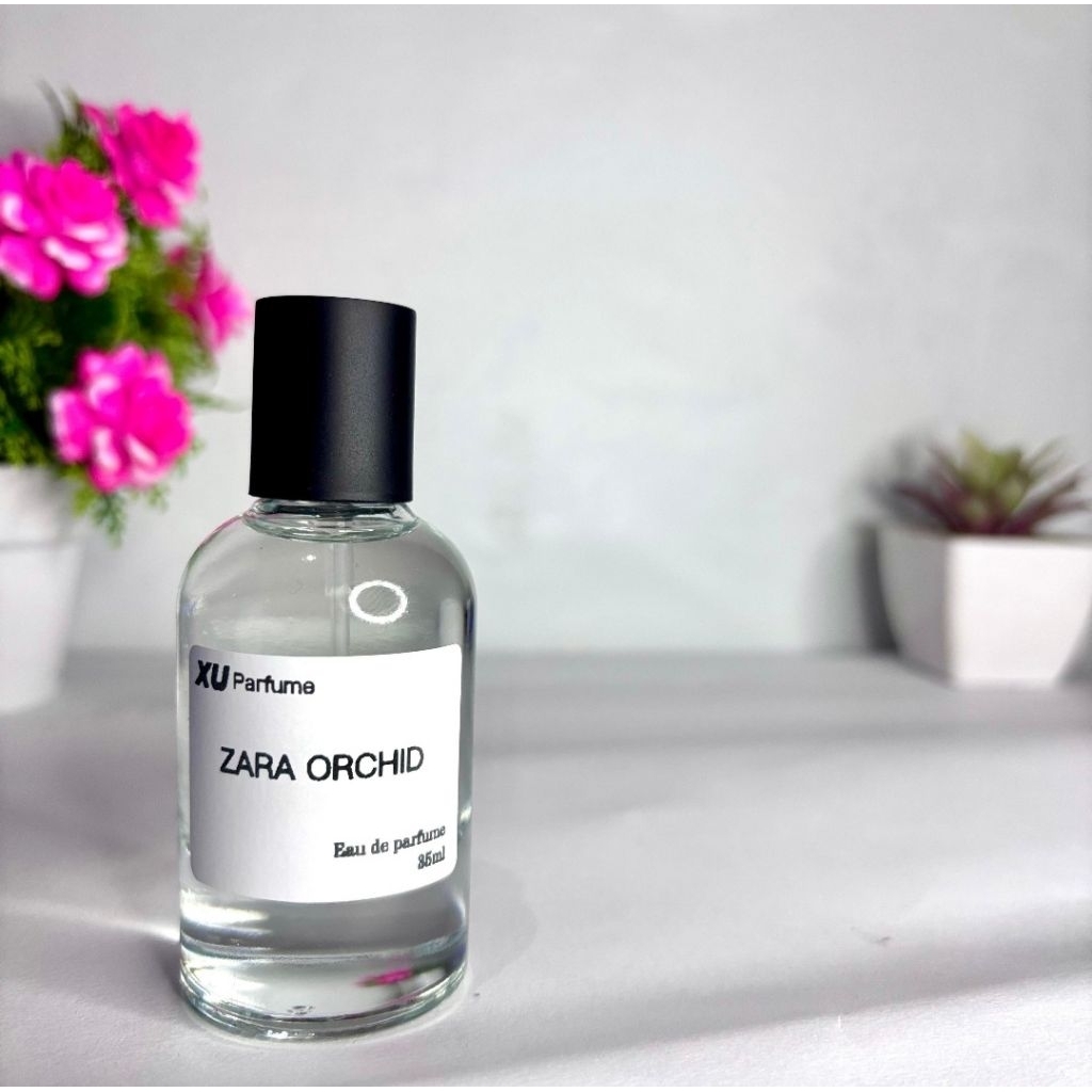 Zara Orchid