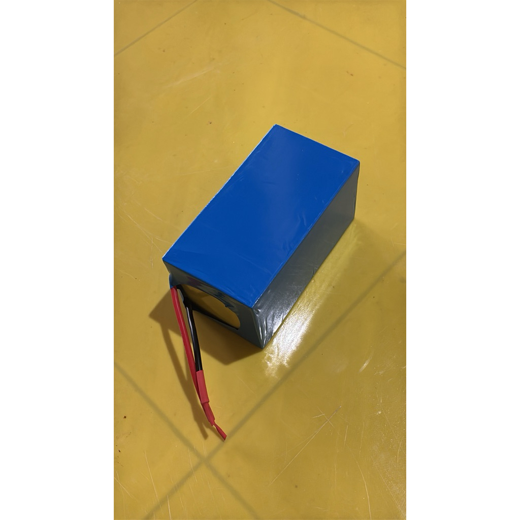 lifepo4 12v15Ah include bms
