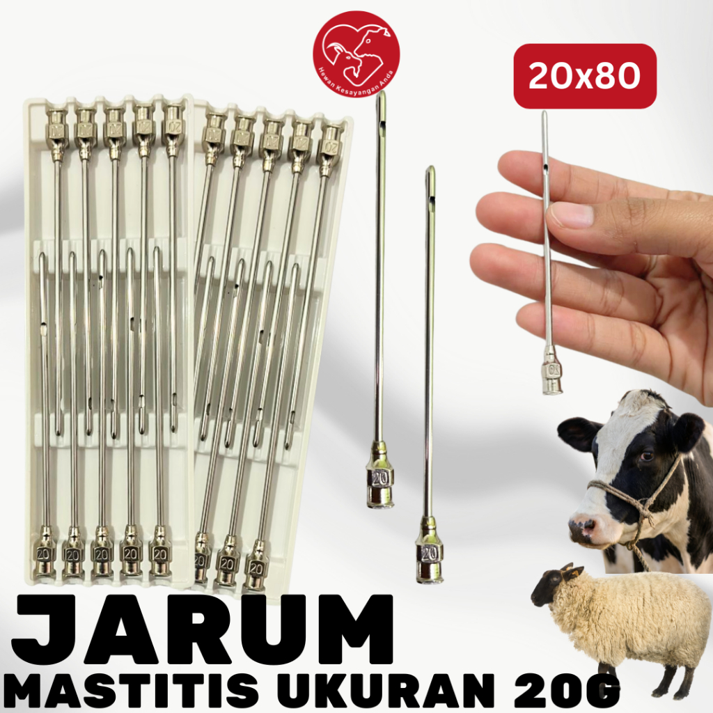 Jarum Suntik Tumpul Reusable Untuk Pengobatan Suntik Mastitis Ambing Sapi Kambing Domba