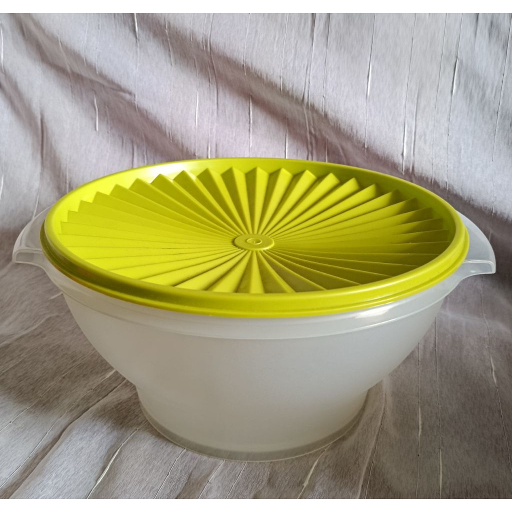 Rice Bowl Tupperware
