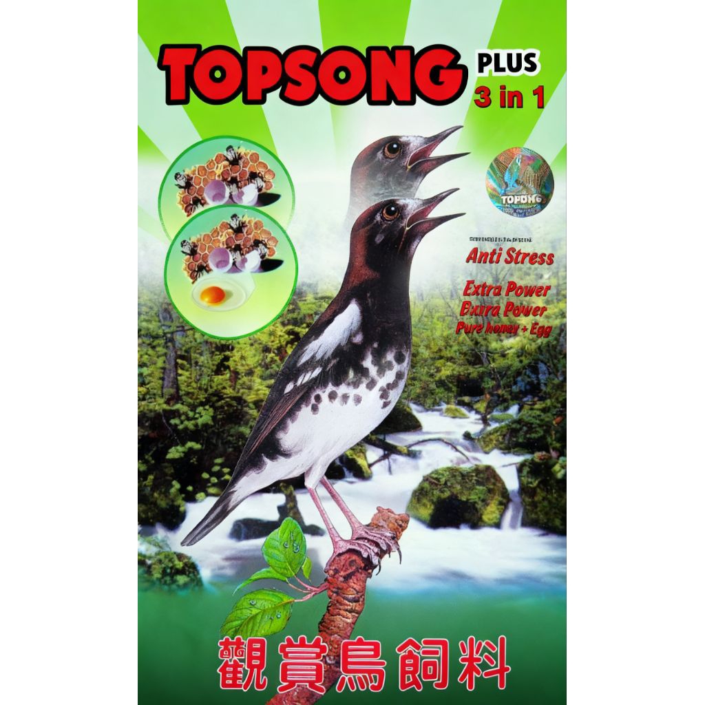 TOPSONG PLUS 3In 1 ( Satu dus)