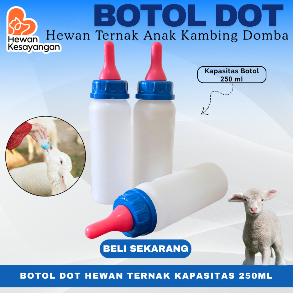 Dot Botol Cempe Anak Kambing Domba Model Terbaru Kapasitas 250ml Grosir