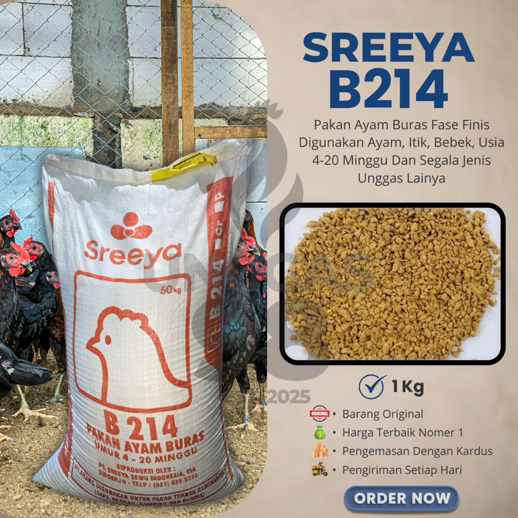 VOER PAKAN AYAM DEWASA SREEA B214 UNGGUL