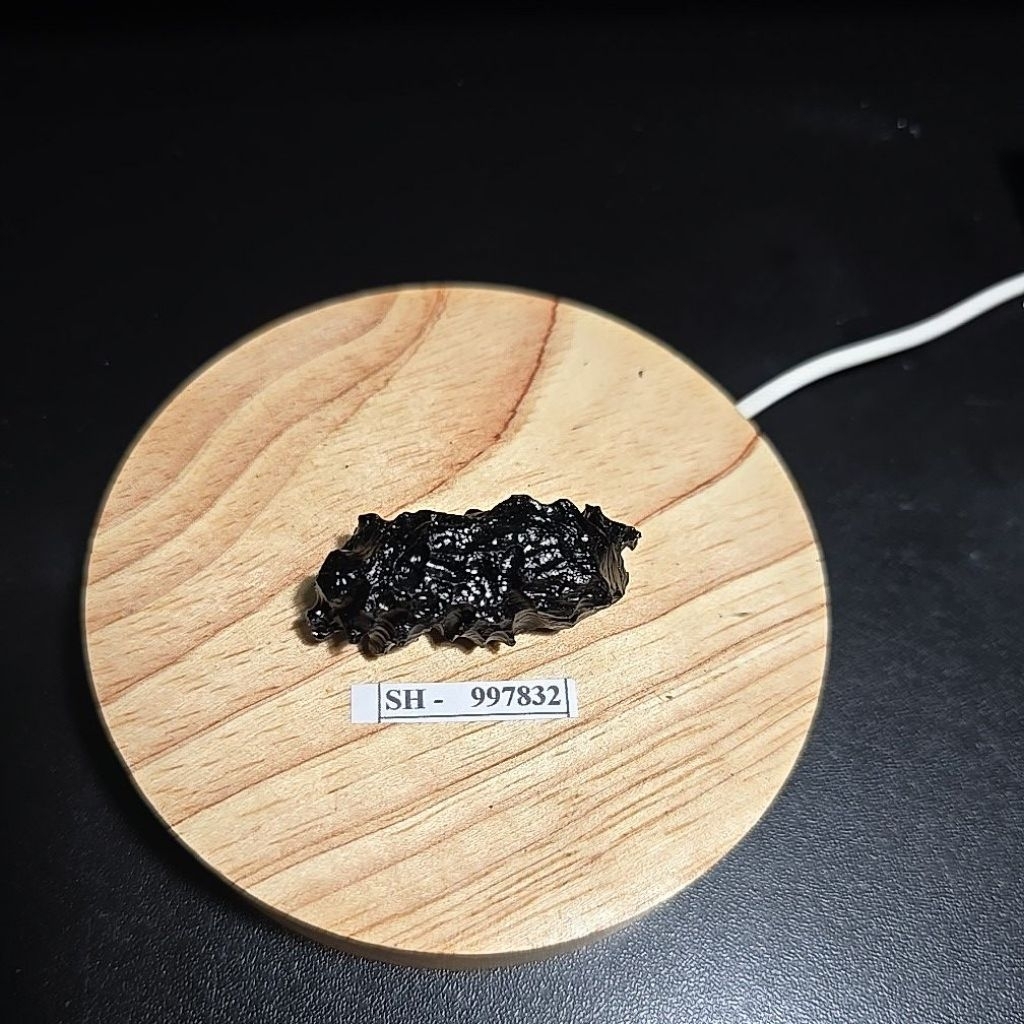 SATAM METEORITE TEKTITE ROUGH HQ BATU ASLI