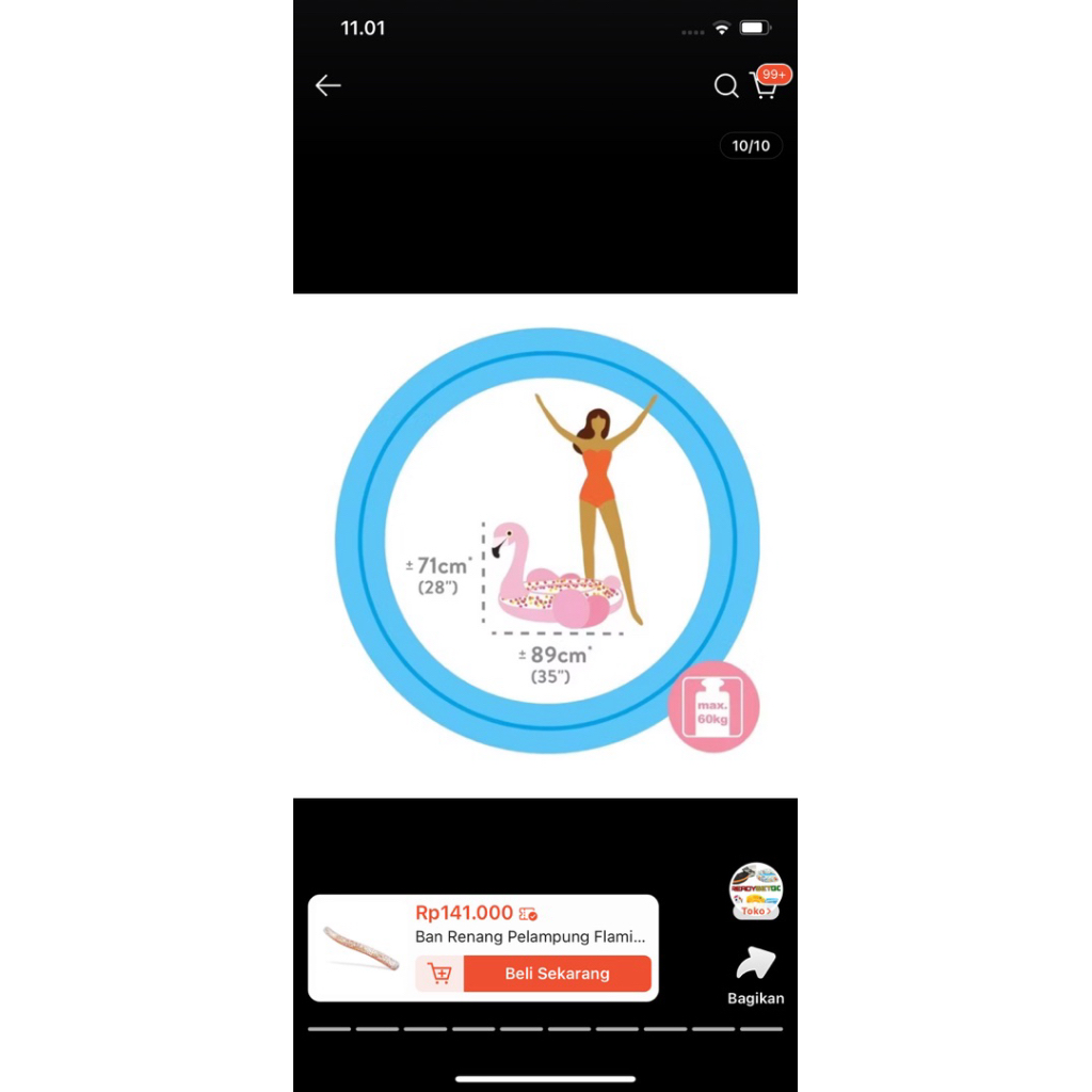 ban itntex pelampung renang flamingo new