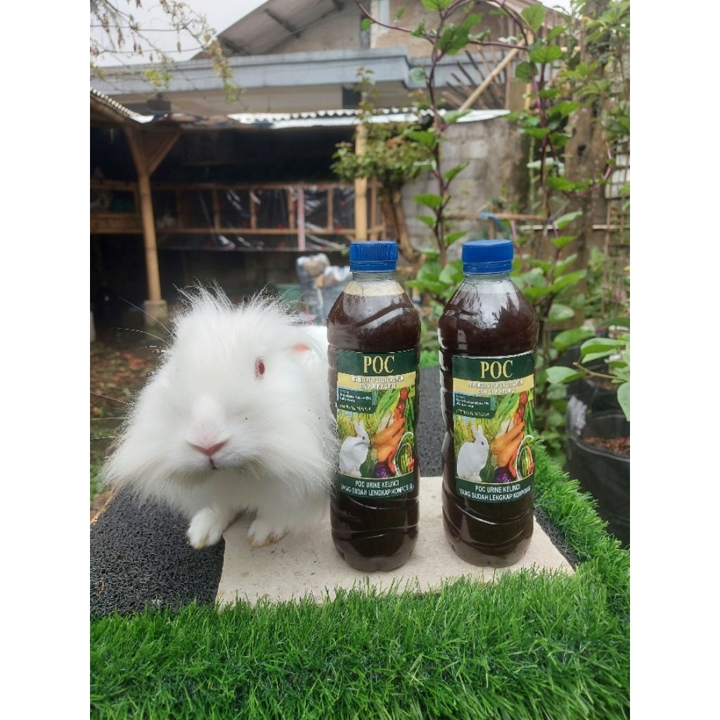 FERMENTASI URINE KELINCI 500 ML POC URINE KELINCI, SUDAH DIFERMENTASI