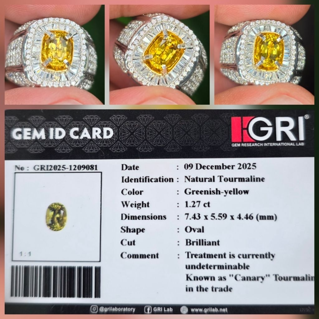 Batu Natural HQ Yellow Canary Tourmaline Memo 1.27 crt