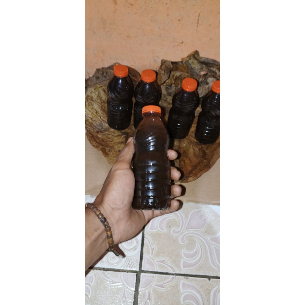 Air Ekstrak daun Ketapang super pekat