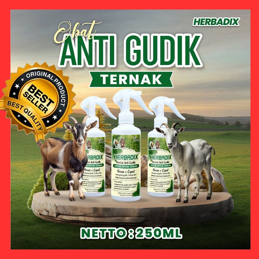 AMPUH  Obat Kudis Ternak Kambing Tanpa Suntik