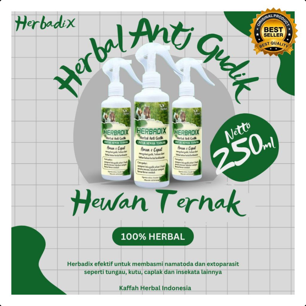 UNTUK TERNAK  Obat Gudik Ternak Sapi Paling Ampuh, Obat Gudik Ternak Sapi Qurban