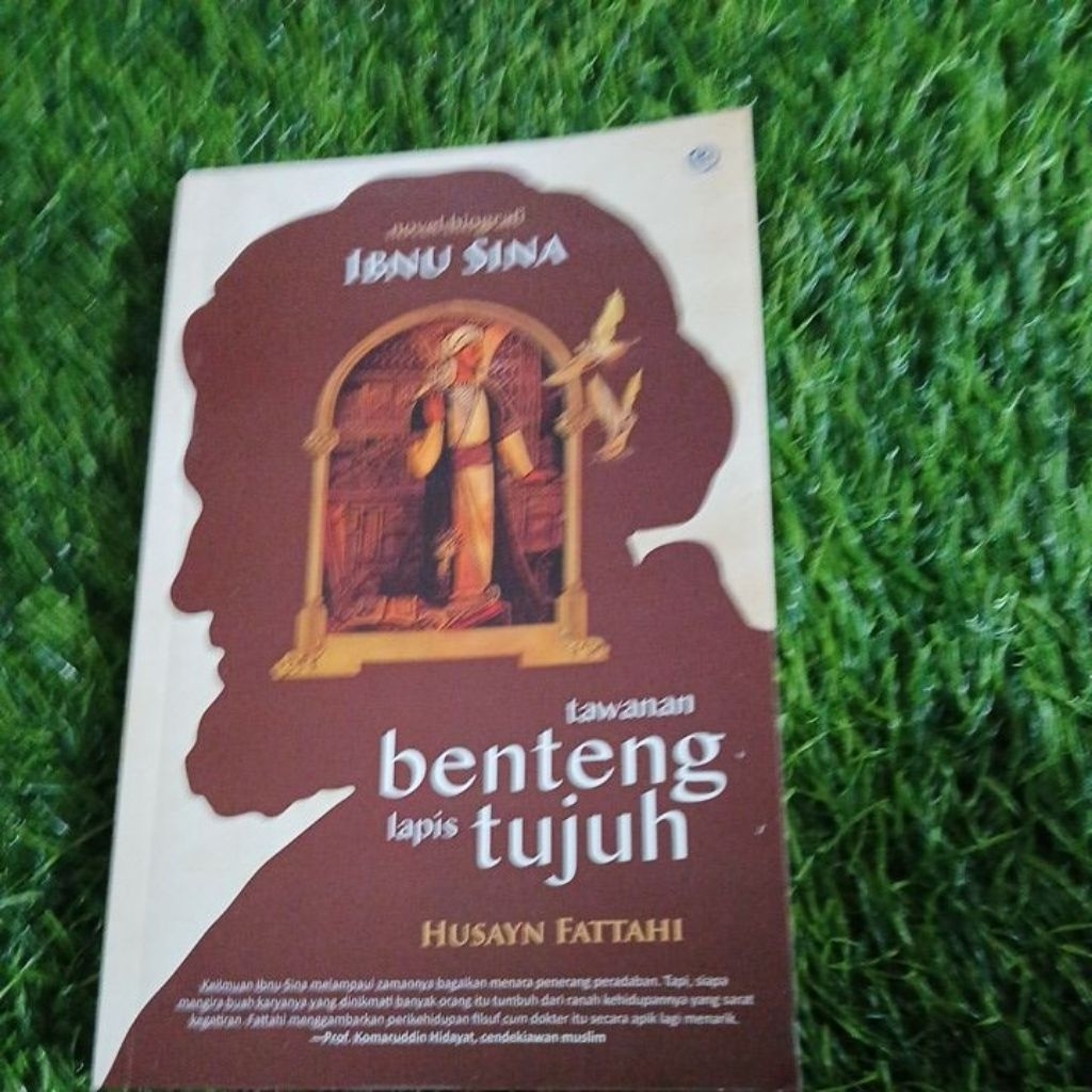 buku novel biografi ibnu sina tawanan benteng lapis tujuh