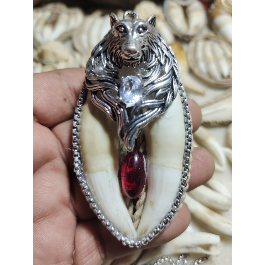 Liontin Sepasang Taring Buaya