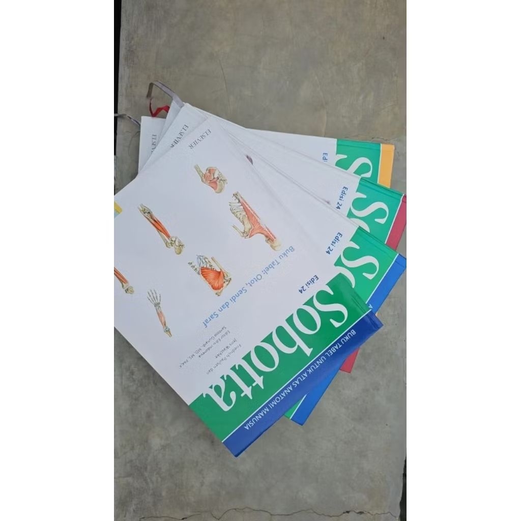 Buku Atlas Anatomi Sobotta Edisi 24 Set Lengkap (Preloved)