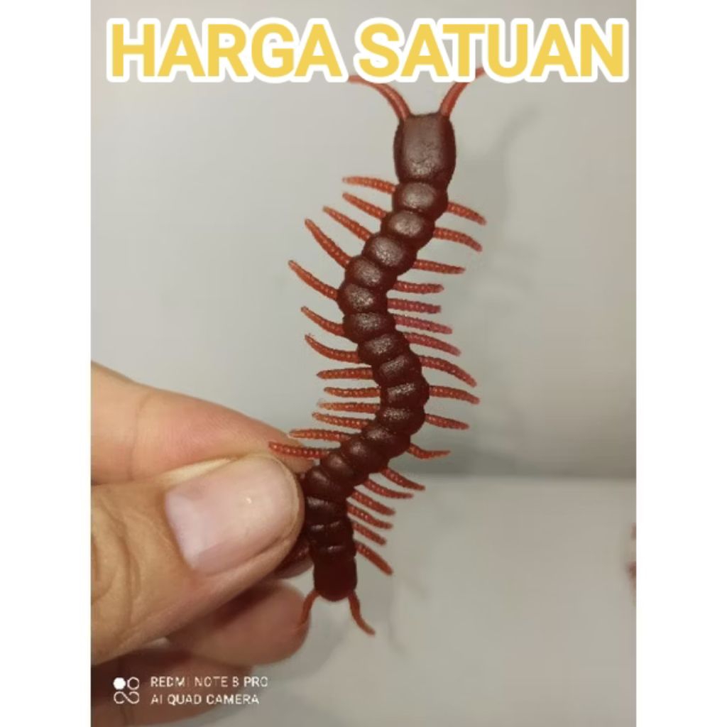 mainan kelabang karet untuk edukasi