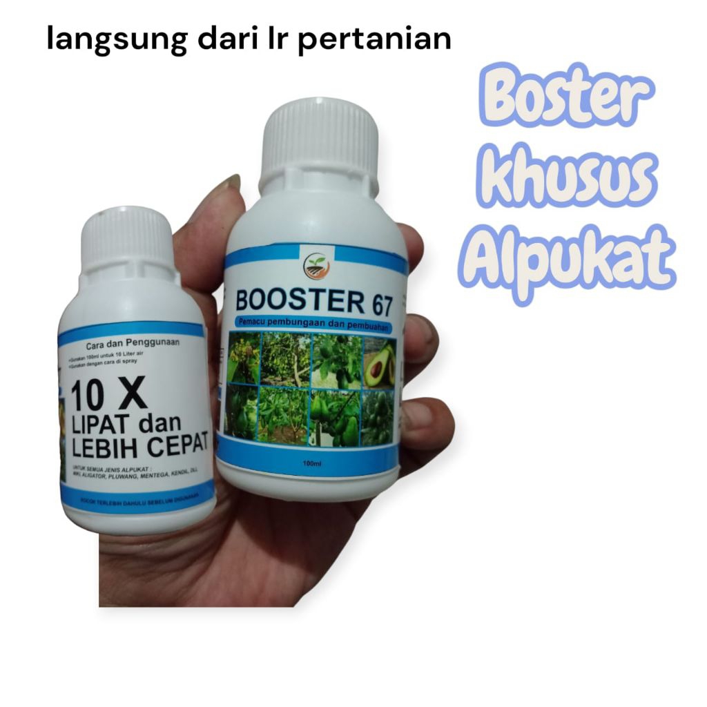 Boster 76 Khusus Tanaman Apokat Cepat Berbunga & Berbuah Lebat